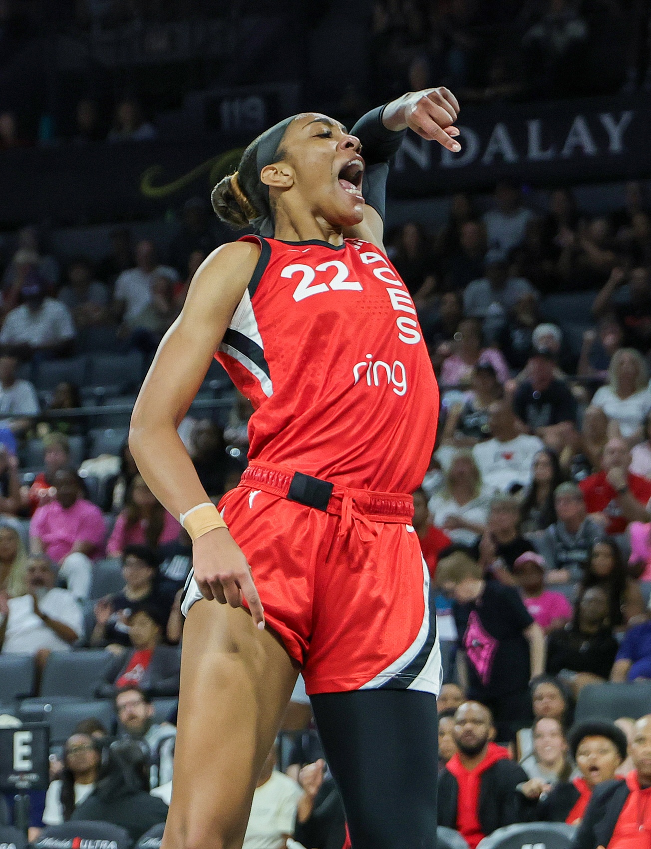 开云app-阿贾-威尔逊22次20+15篮板创历史纪录 超越名宿查尔斯登顶榜首